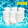 Sanitize Pool Water With Chlorinating Tablet GM58000-4434-01