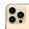 Apple iPhone 13 Pro Max 256GB Gold 5G LTE-1798-01