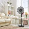 Black+Decker 16 Inch Stand Fan FS1620-B5-3376-01