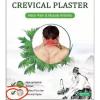 Neck Pain And Muscle Arthritis Crevical Plaster01